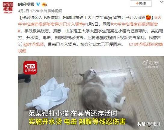 如何才能阻止虐猫者范源庆？