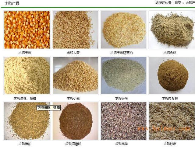 生物饲料配方技术:如何自己动手制作牛羊饲料？