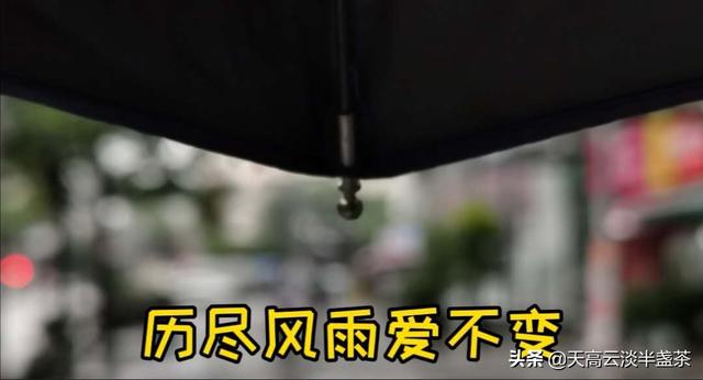 钟晓芹扮演者:三十而已:如果你是剧中的钟晓芹，你会选择谁