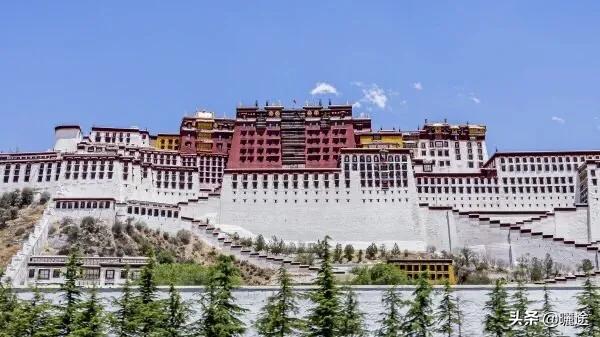 黄贯中藏獒值1200万:为什么有些狗狗一闻到老虎的气味就吓跑了？