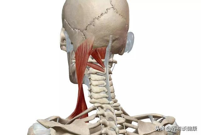 颈椎病头痛位置图片图片