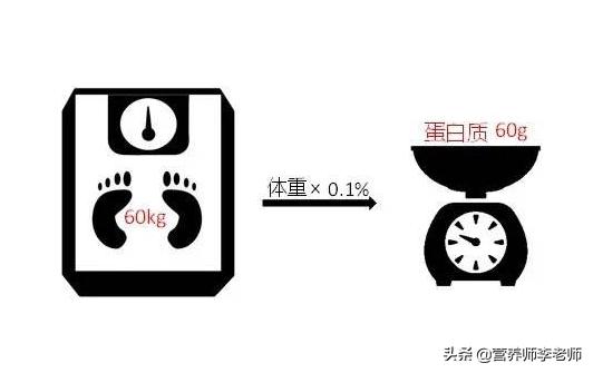 日本猫咪减肥法视频:日本猫咪减肥法 每天吃大量的动物蛋白就能消耗体脂减肥吗？