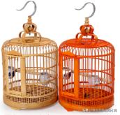 中国养鸟论坛养:养鸟为什么分养笼和溜笼？