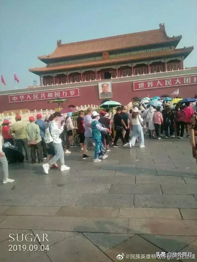 值得推荐的现代诗歌作品有哪些？并陈述理由？