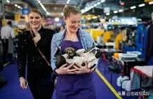 名犬杂志品牌及商品:能否把你见识过的名犬发出来吗？