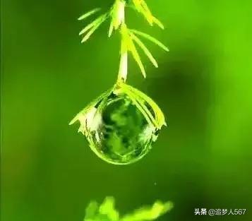 宋伊娜:如何评价《圣斗士星矢》中卡西欧士这个角色？