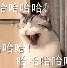 伊能静向赵兆道歉:全网为什么都是疯狂骂伊能静的？