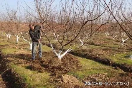 丽水仓鼠待领吧:新手养仓鼠要买什么，有什么好的淘宝店推荐吗？