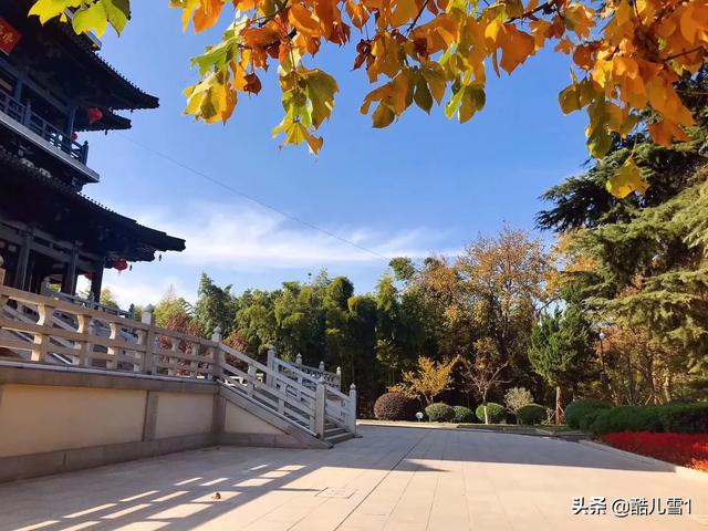 宋濂求学:宋濂苦学讲的是一个怎样的故事？