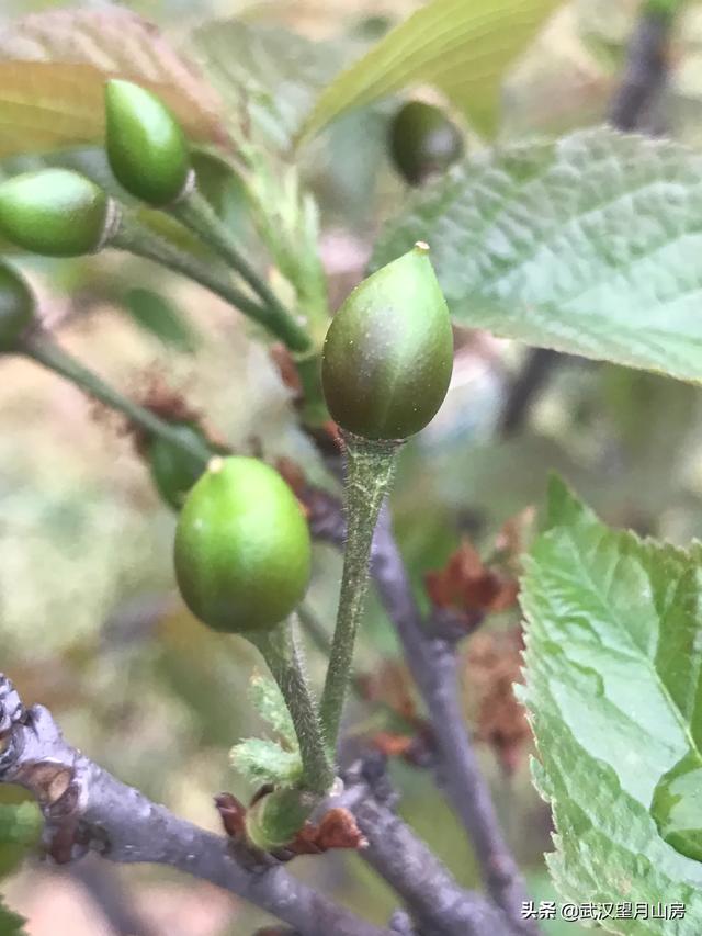 如何提高手机拍摄视频质量