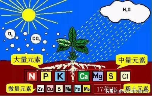 悟空问答 中量元素肥能和有机肥一起施吗 11个回答