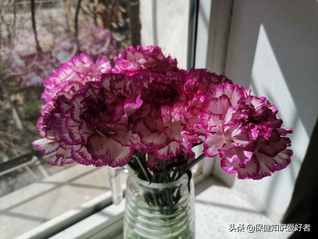 一年级的孩子,需不需要了解一些简短的文言文,有必要么？