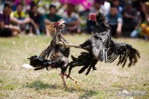 古代人一般有什么娱乐爱好？