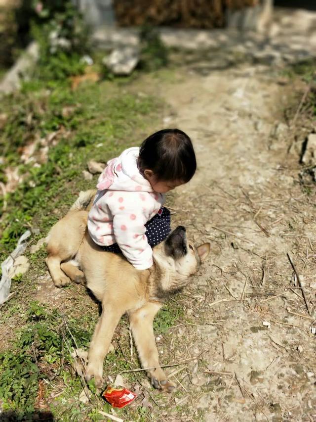 头条问答 敢不敢把你家的狗狗照片发出来看看 糖宝妈咪emily的回答 0赞