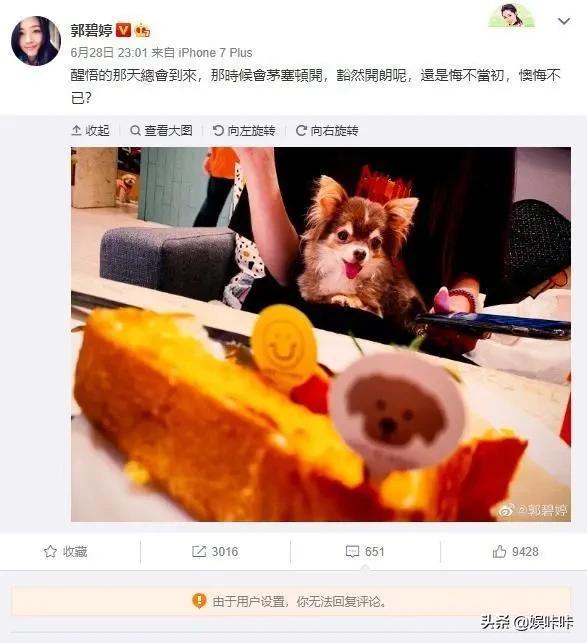 郭碧婷疑成功怀孕:郭碧婷孕期清空向佐有关动态，是婚变实锤吗？
