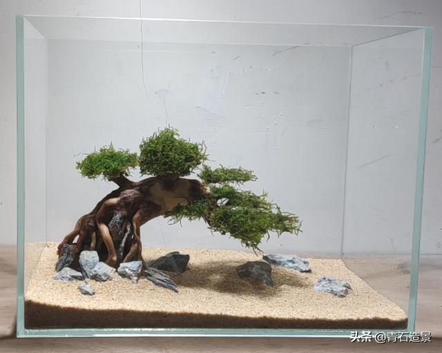 为水族箱布景的正确步骤:简单易懂的水族箱布景 造景小白，小鱼缸应该怎么布景？