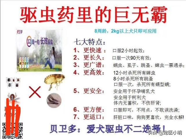 拜宠爽作用原理:狗子有蜱虫用什么内服药处理？ 拜宠爽体外驱虫