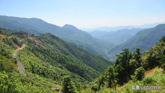 温州鹿城七彩神仙鱼价格:五一快到了，温州有哪些好玩的地方推荐？