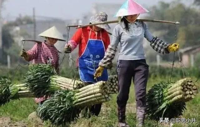 乡村留守妇女与狗小说全集:越来越多的农民离乡打工，留守妇女问题该如何解决？
