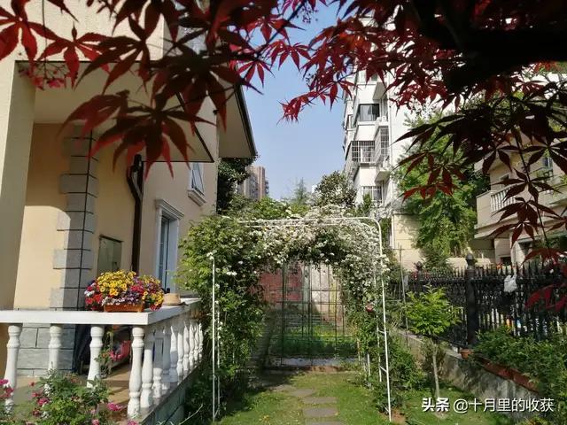 家住别墅是什么样的感觉？插图25