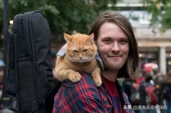 虐猫事件:你对最近的大学生孽猫事件有什么看法？