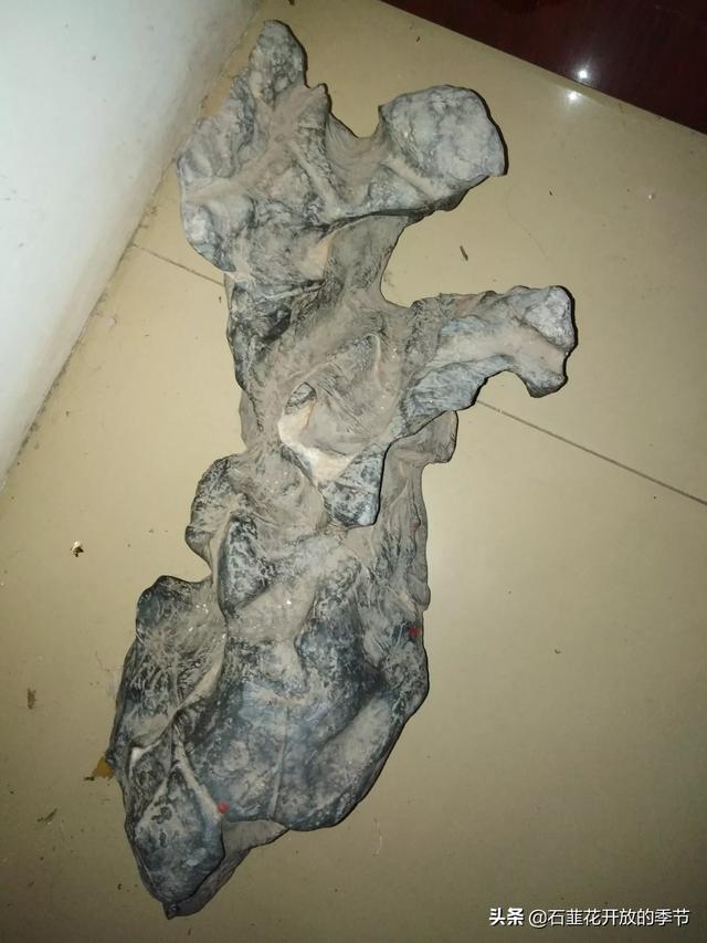 天然大化石原石图片,你收藏的天然奇石有哪些已经升值了？