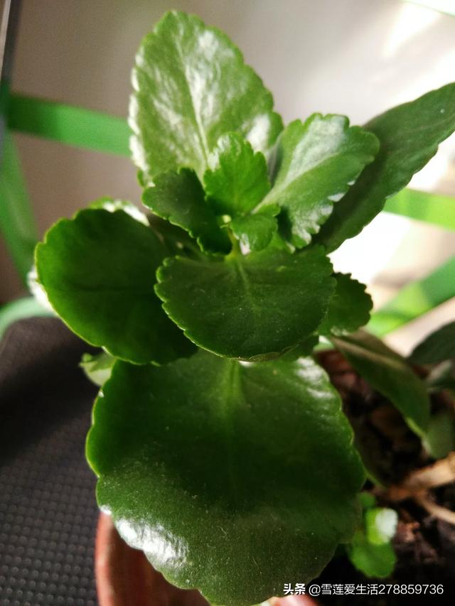 大家好,现在家里有了暖气,特别舒服,可是晚上睡觉总感觉口渴,怎么做嗓子才不干燥？