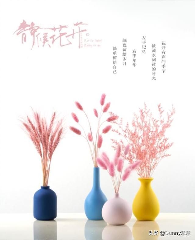 头条问答 花卉 花盆 盆栽 帮忙起个店名 谢谢 11个回答