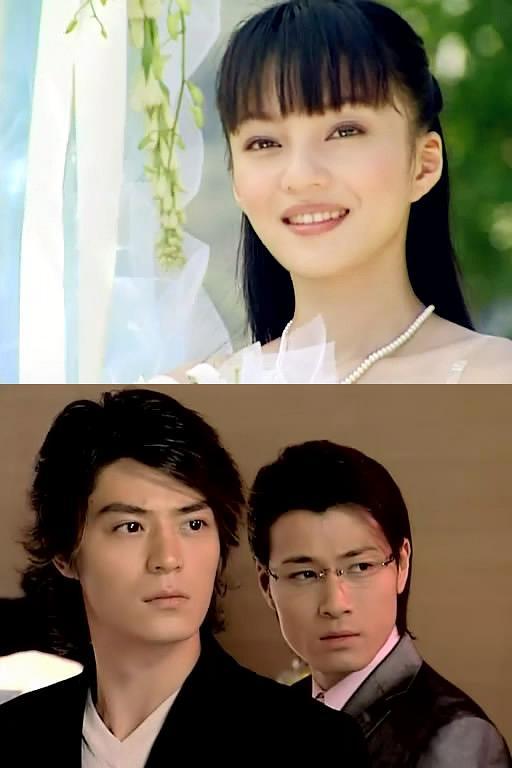 许绍洋电视剧:有哪些抱错孩子，有身世之谜的电视剧？