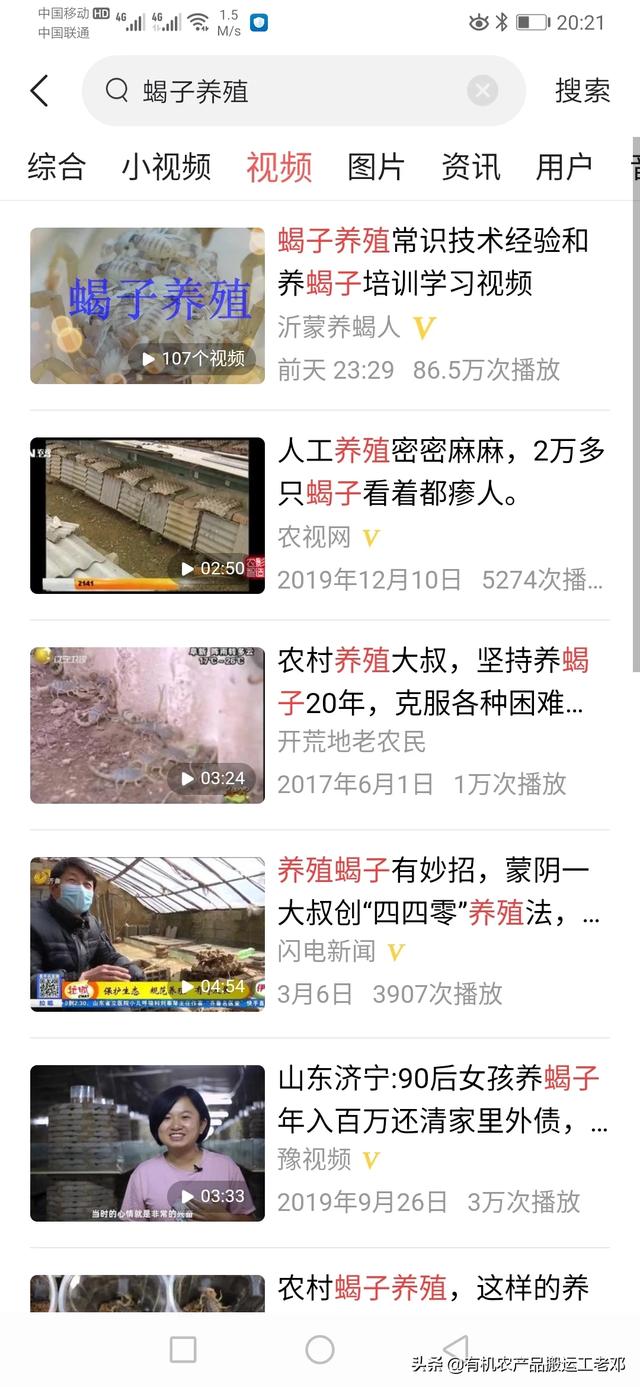 十堰有养黄粉虫的吗:农村有几间空闲房子，想养殖黄粉虫，但无销路怎么办？