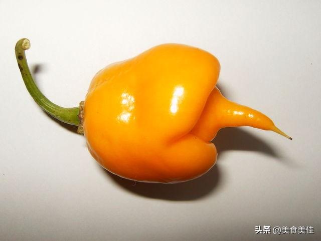 虎皮青椒是哪里的菜(虎皮青椒酿肉是哪里的菜)