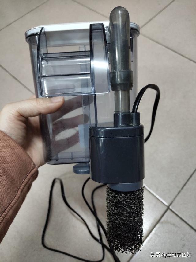 过滤器水妖精怎么用:用一个三合一水妖精和一个鱼缸就能养鱼吗？
