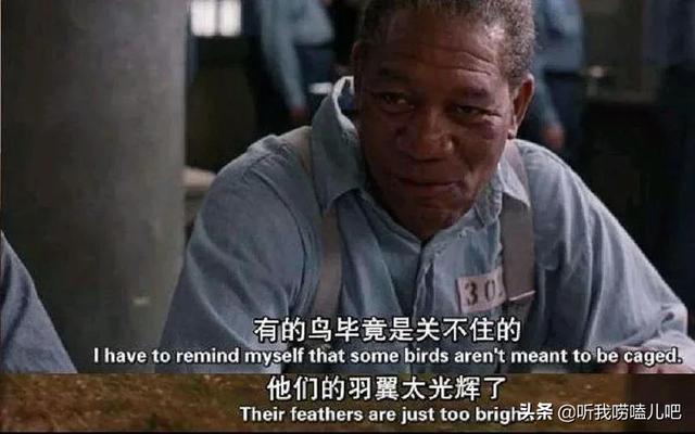 好看的电影:推荐十部世界上公认的好电影，你有哪些推荐？