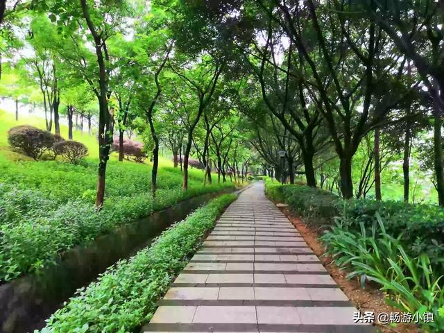 非师范生非对应专业考高中历史资格证难吗？本科学风景园林，想考证。爱好历史？:园林高中 第8张