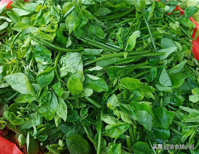 头条问答 哪些野菜可以吃 骏满红小满的回答 0赞