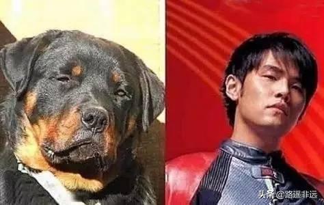 沈春阳图片:为什么有些人攻击沈春阳？