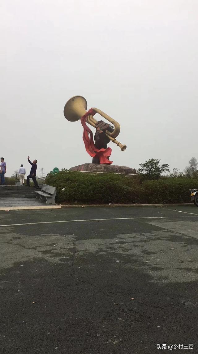 哈士奇:为什么哈士奇叫二哈？哈士奇真的那么傻吗？