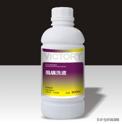 鸽子体内钩虫:狗狗体内钩虫图片 鸽子身上的寄生虫如何治？