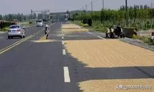 东莞环卫工人带宠物鸭扫大街:如何看待农民在马路晒粮食，洒水车运作洒水？