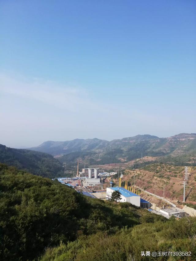 观电影金牌流浪狗后感:为什么流浪狗喜欢群居？真可怜？