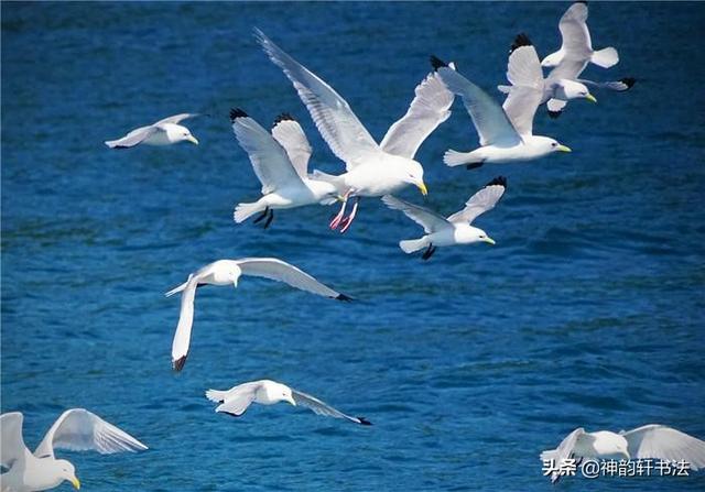 书家四贤:楷书鼻祖钟繇有哪些著名的代表作品？如何赏析？