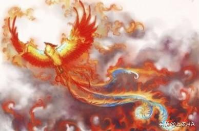 龙迷凤店:在中国文化里，凤到底跟龙是一对还是跟凰一对