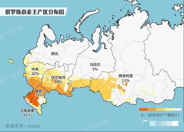 美国 耐威克 主粮:全球粮价飞涨40%，俄罗斯竟抗不住！美国会乘机压垮俄罗斯么？