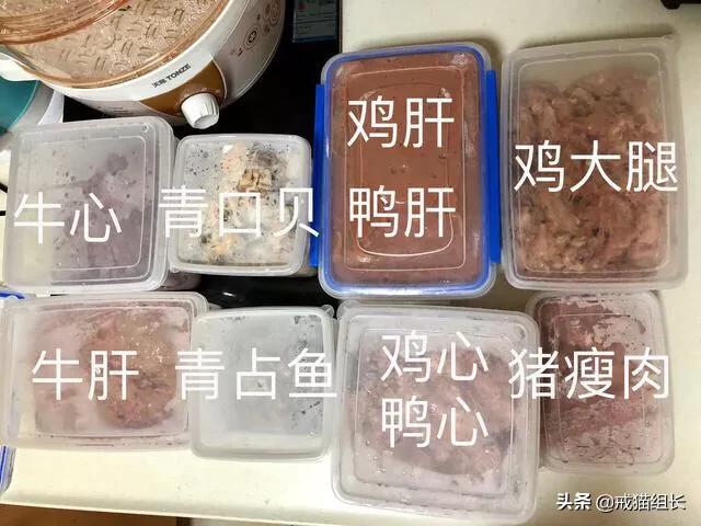 闲鱼自制猫粮:要想俘获主子的心，就要抓住它的胃，如何制作美味又健康的猫食？