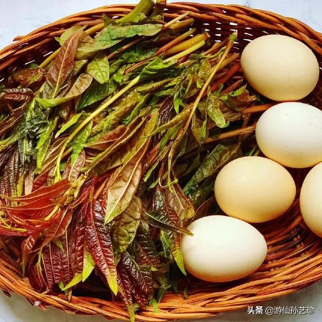三四月份在你们老家都有什么爱吃的野菜？附上照片和名字最好？