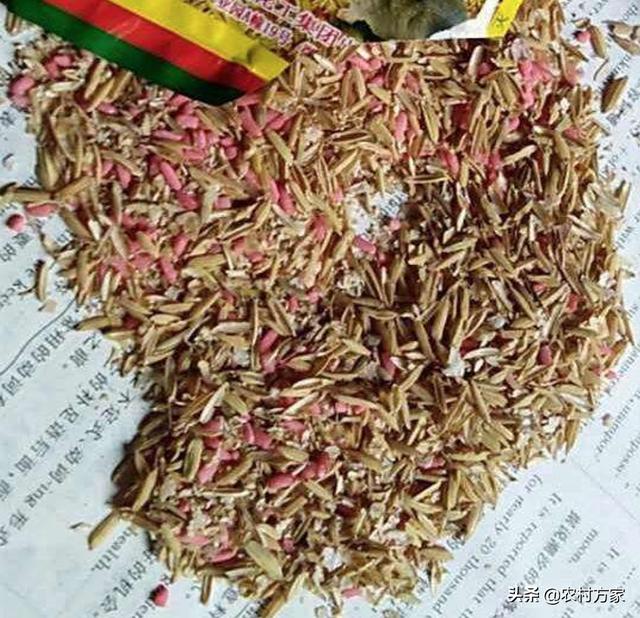 老猫捉老鼠:怎么才能抓到老鼠呢，家里面到处都是老鼠，老鼠夹也不管用？