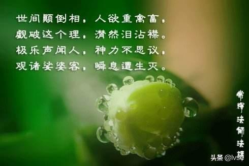 对于“世事无常，人生无常”这句话，你怎么看？:人生无常下一句是什么 第4张