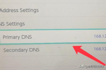 switch怎么改dns？