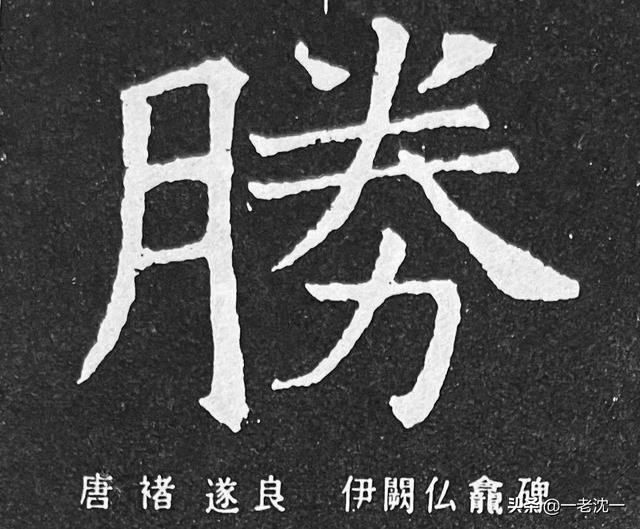 为什么胜是月字旁，性是竖心旁？:不胜其烦的胜是什么意思 第3张