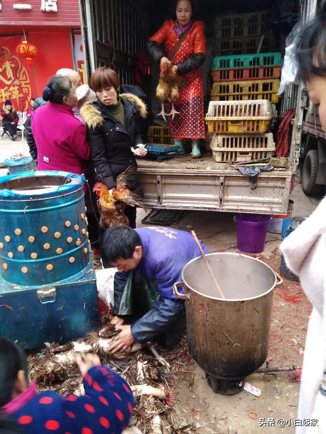 我想做个小生意，手里只有两万元，适合做什么呢